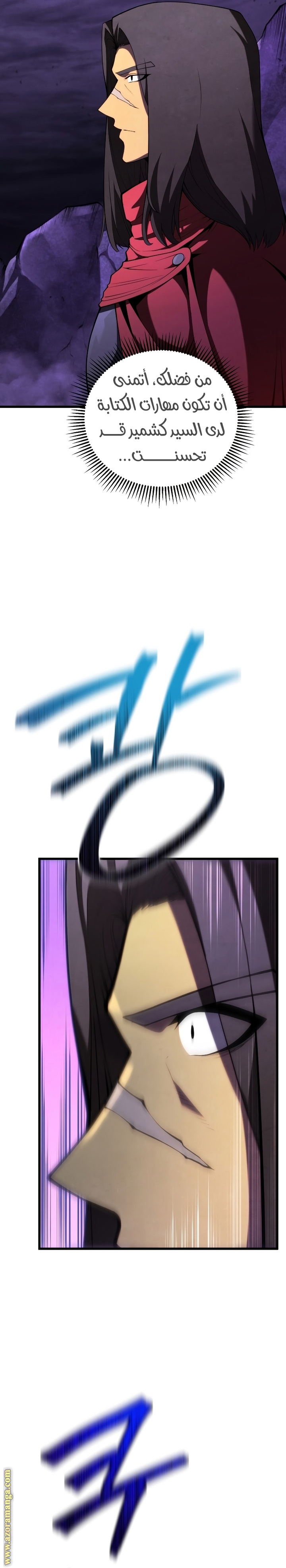 الصفحة 13