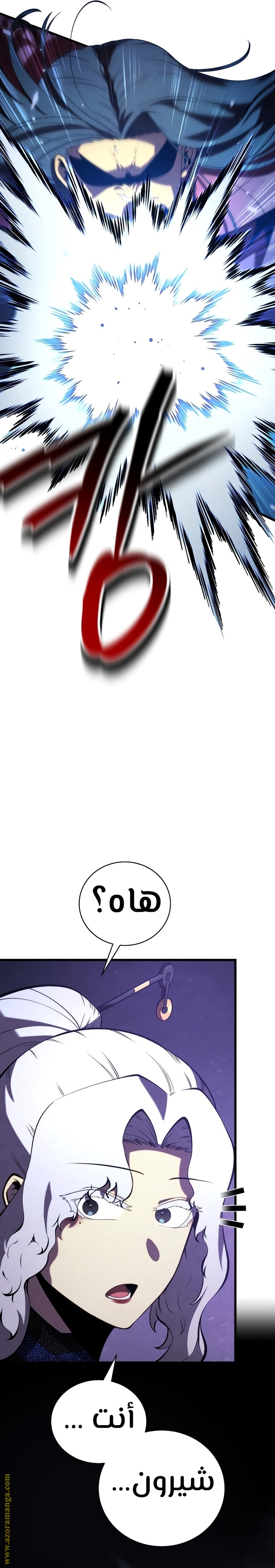 الصفحة 17