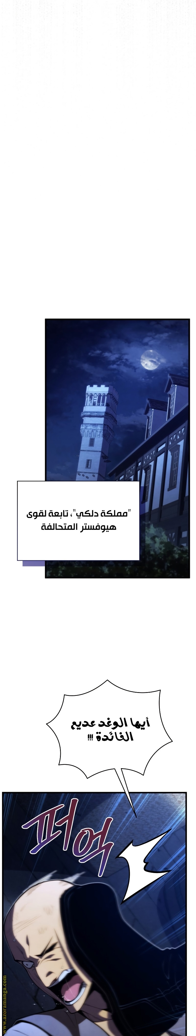 الصفحة 29