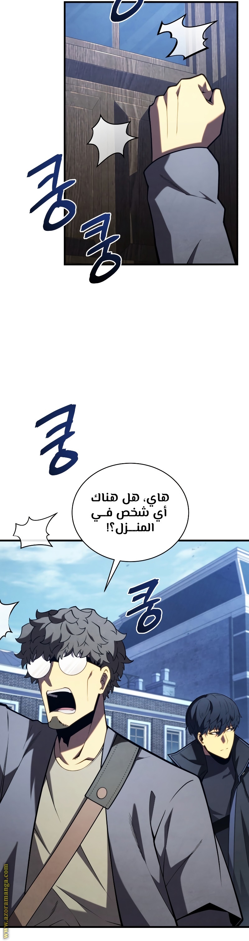 الصفحة 13