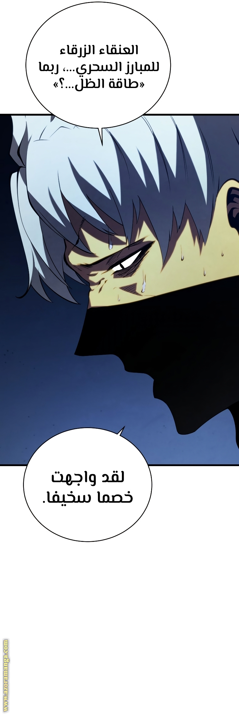 الصفحة 27