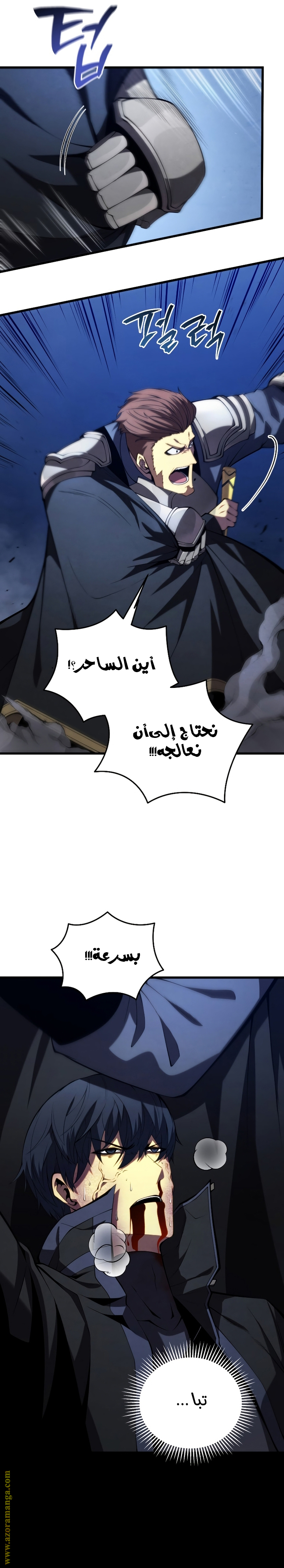 الصفحة 13