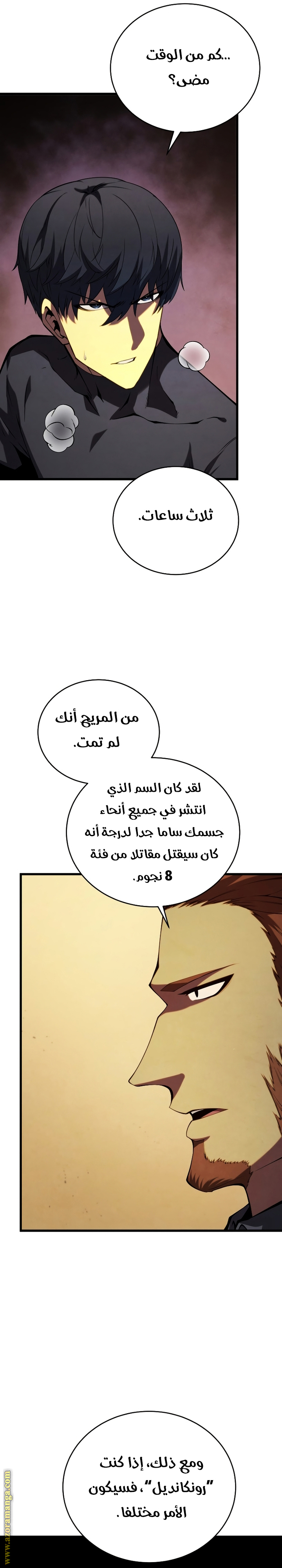 الصفحة 17
