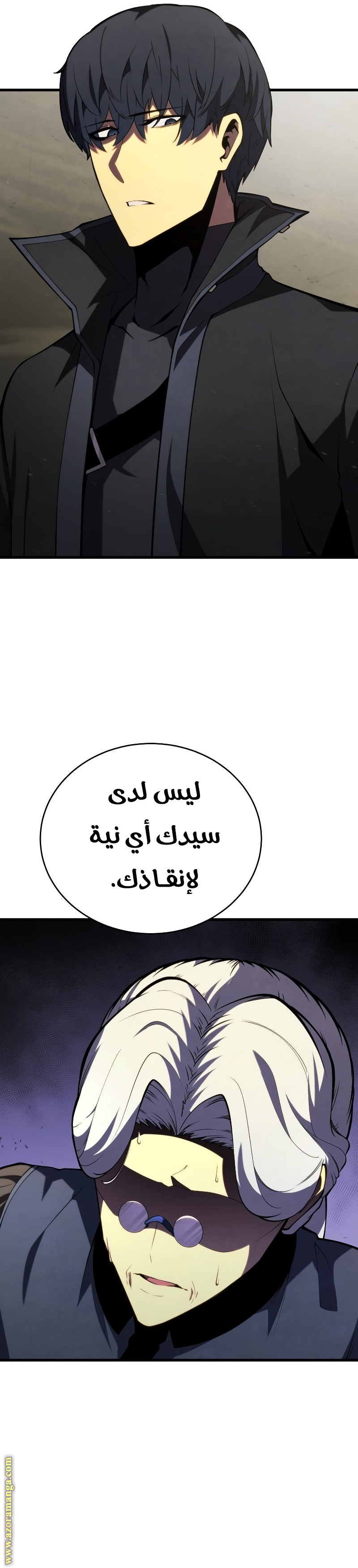 الصفحة 13