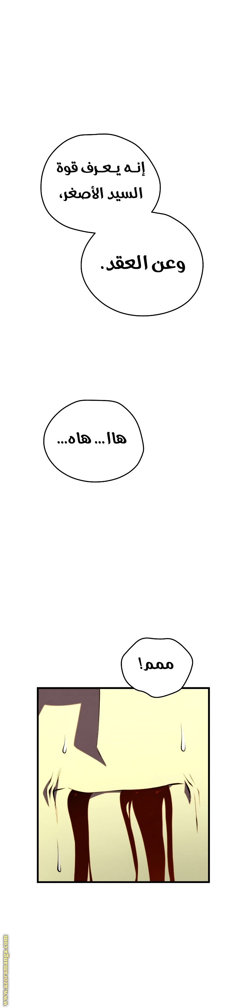الصفحة 29