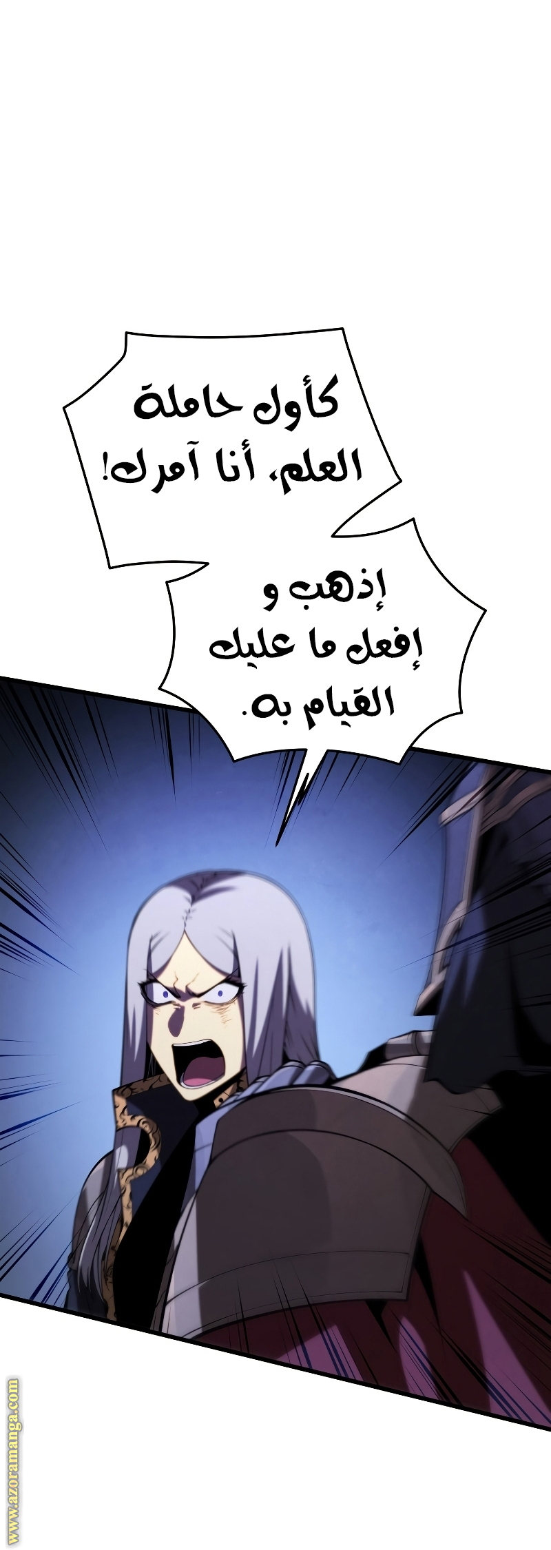 الصفحة 27