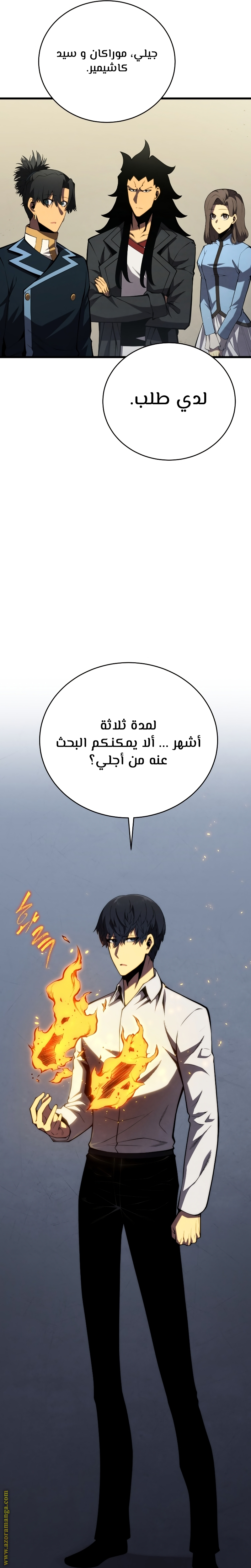 الصفحة 29