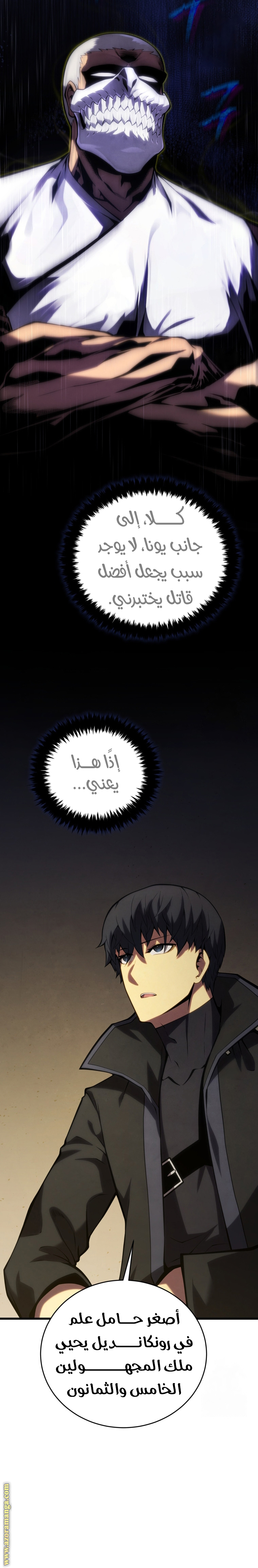 الصفحة 17