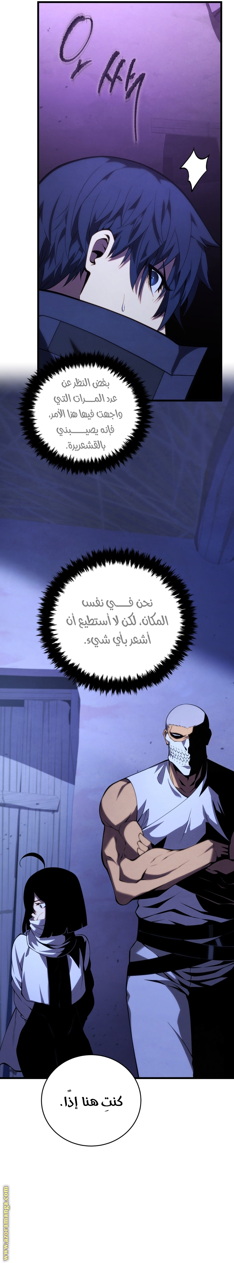 الصفحة 13