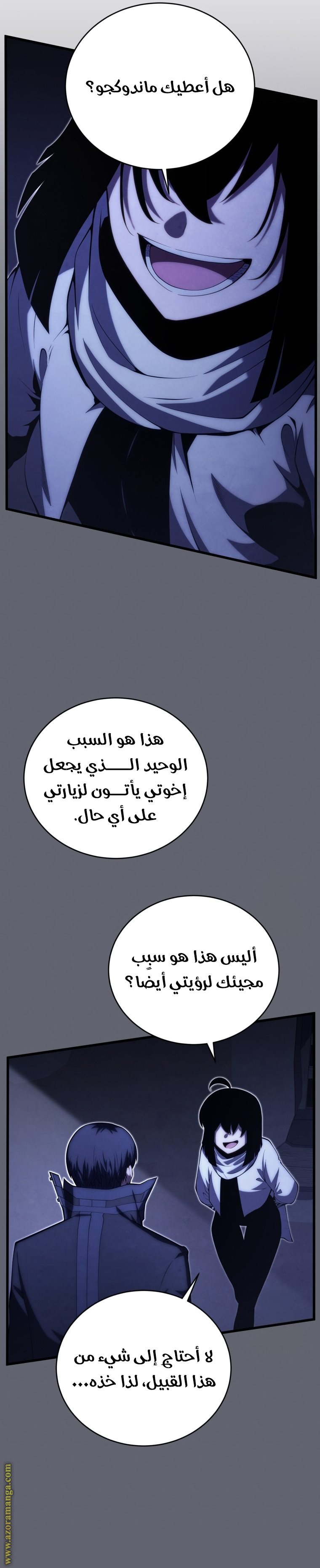 الصفحة 27