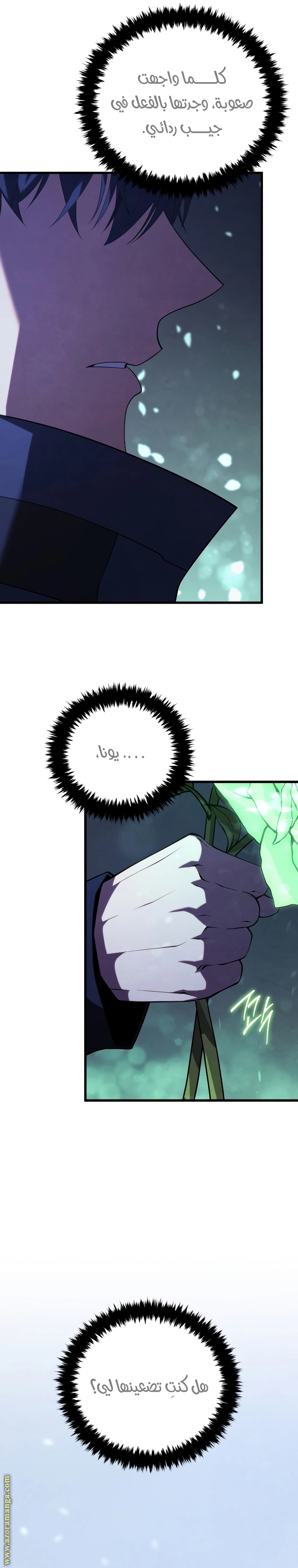 الصفحة 11