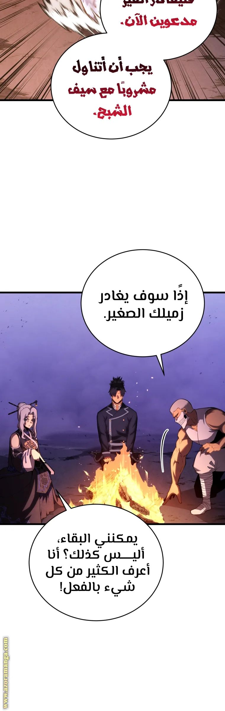الصفحة 27