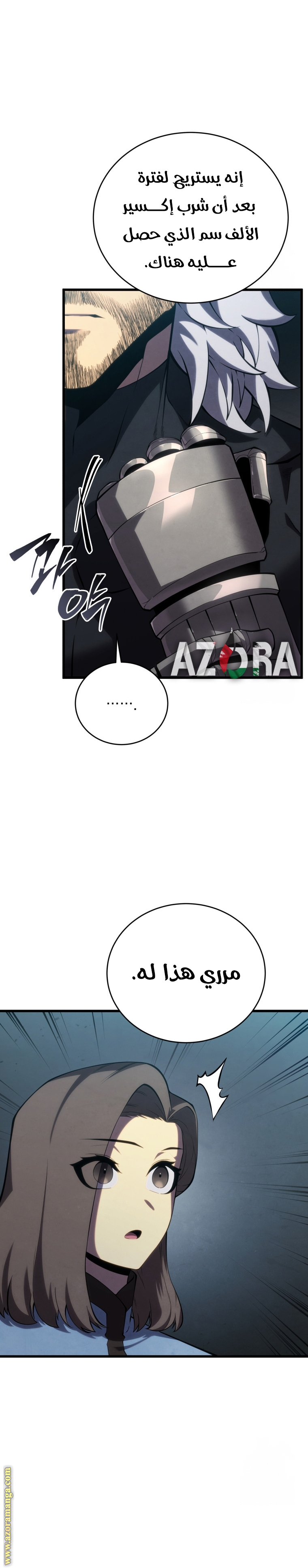 الصفحة 17
