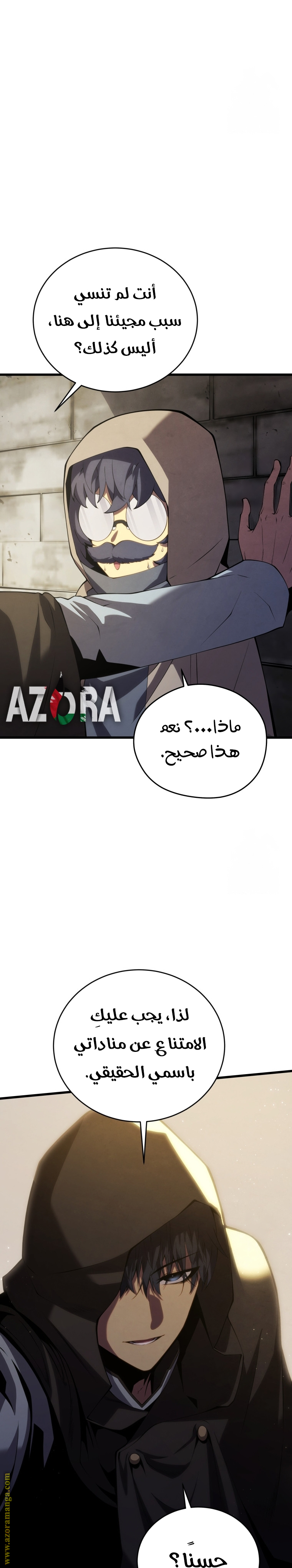الصفحة 29