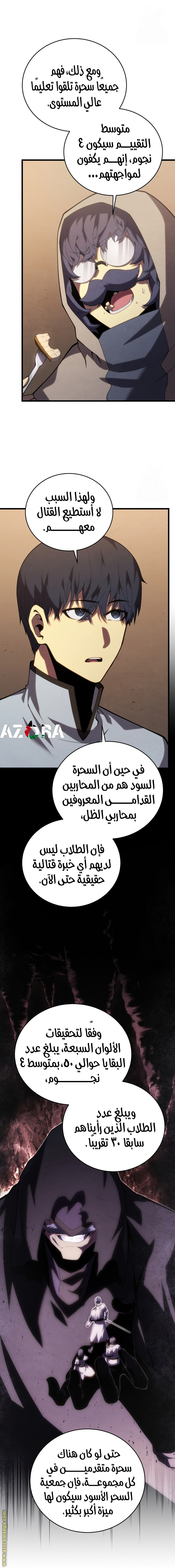الصفحة 13