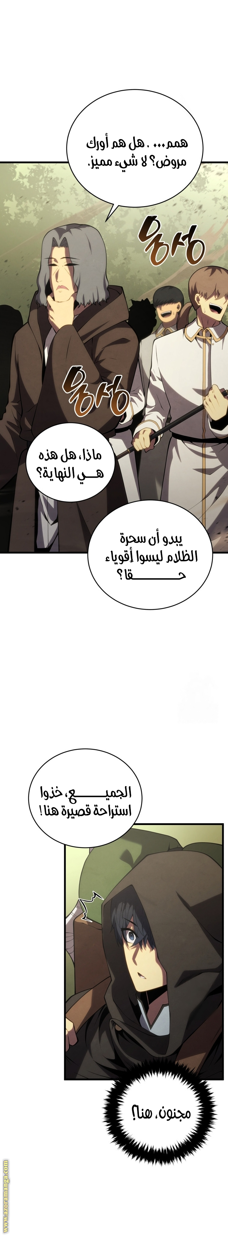 الصفحة 17