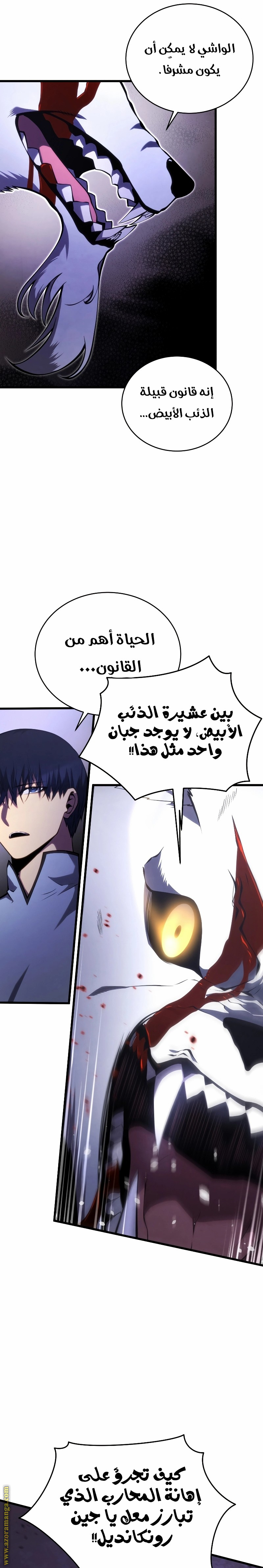 الصفحة 19