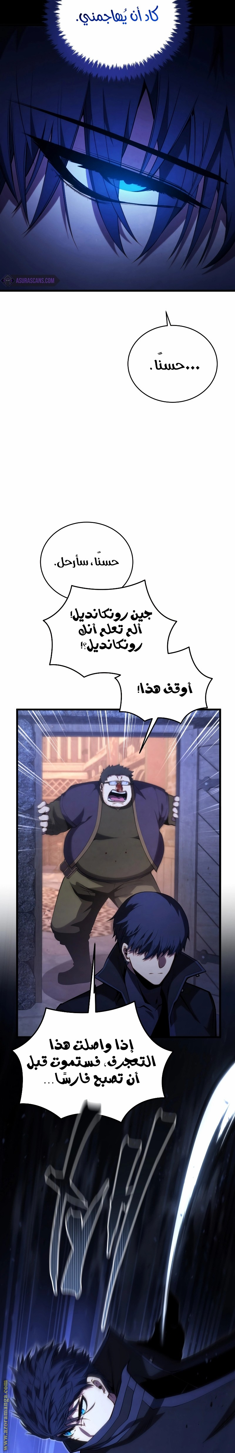 الصفحة 17