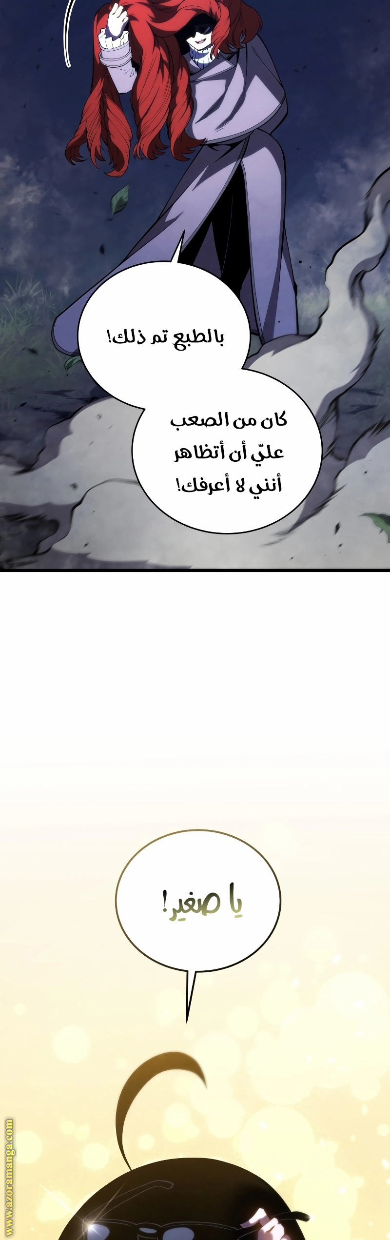 الصفحة 43