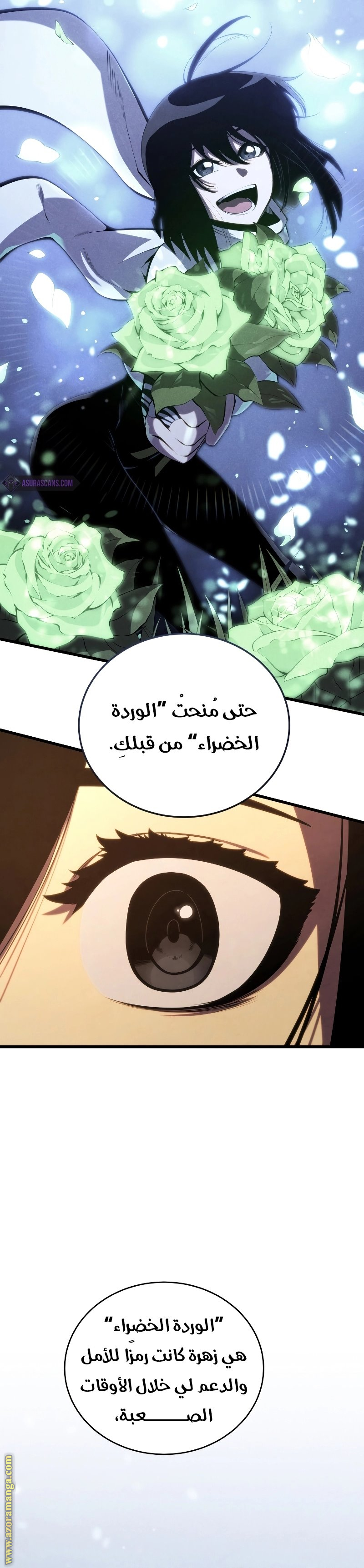 الصفحة 13