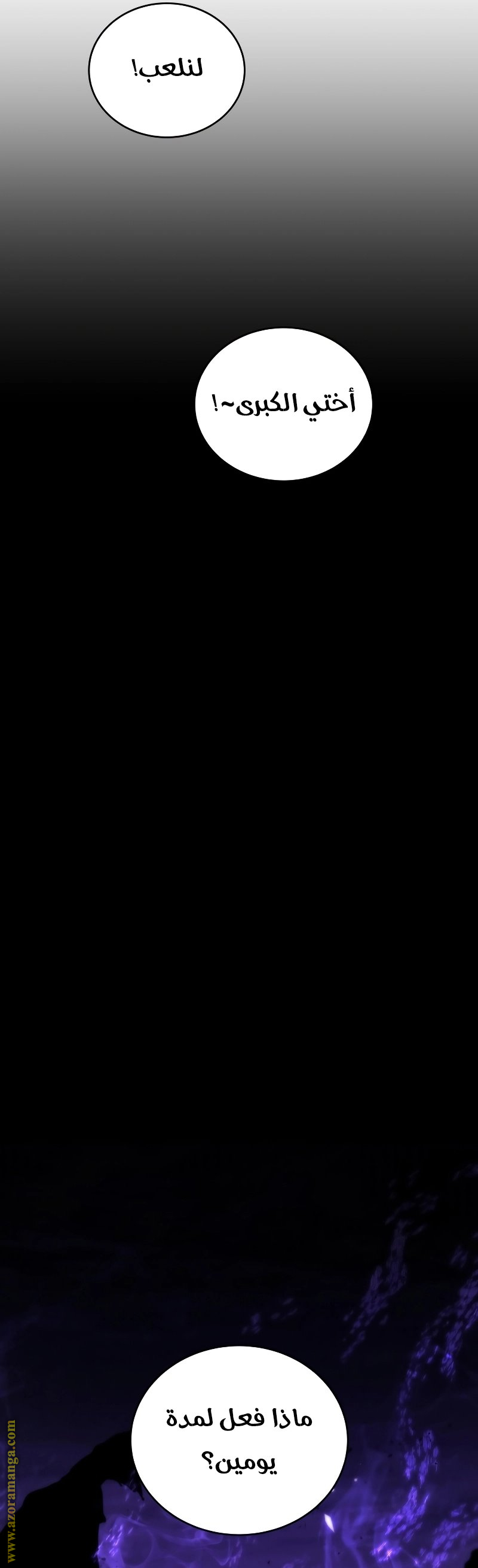 الصفحة 17