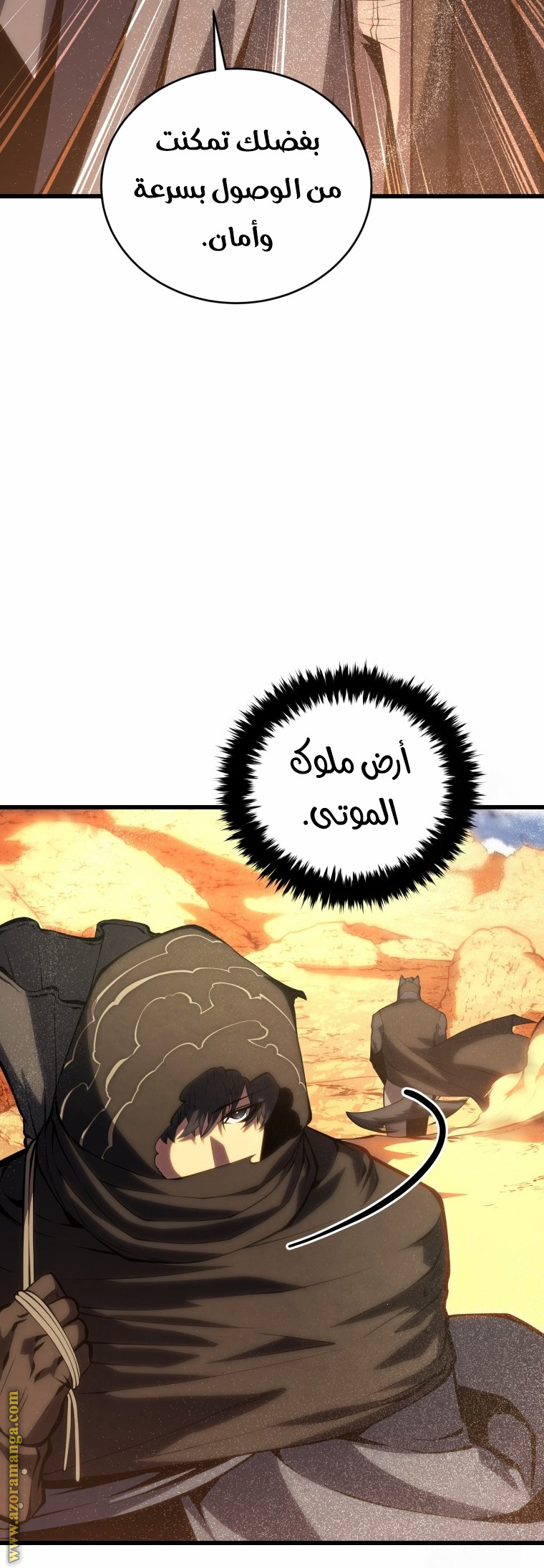 الصفحة 31