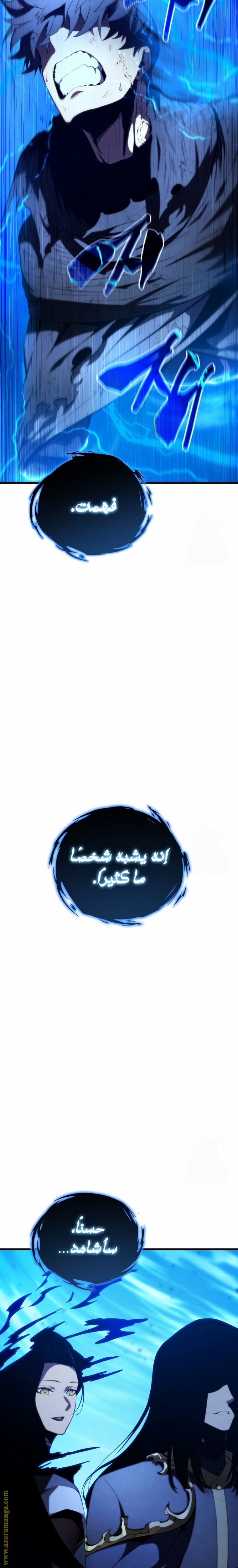 الصفحة 29