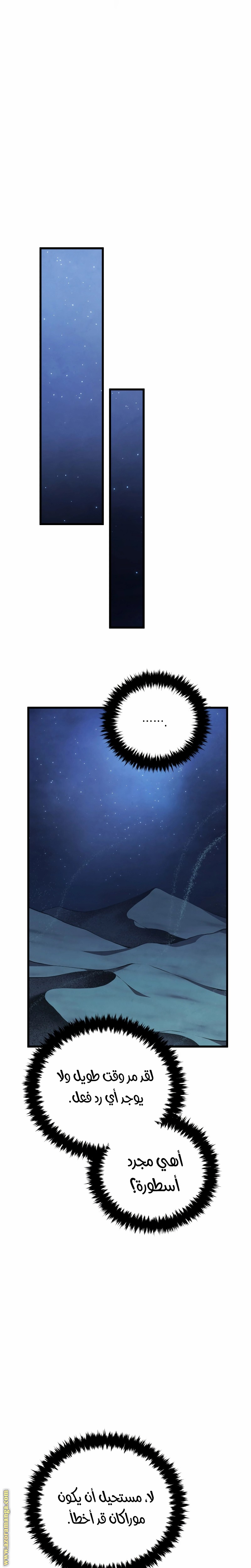 الصفحة 13