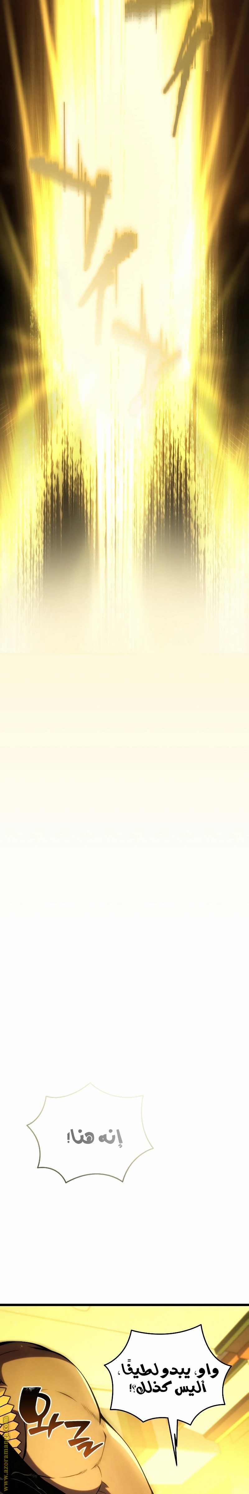 الصفحة 37