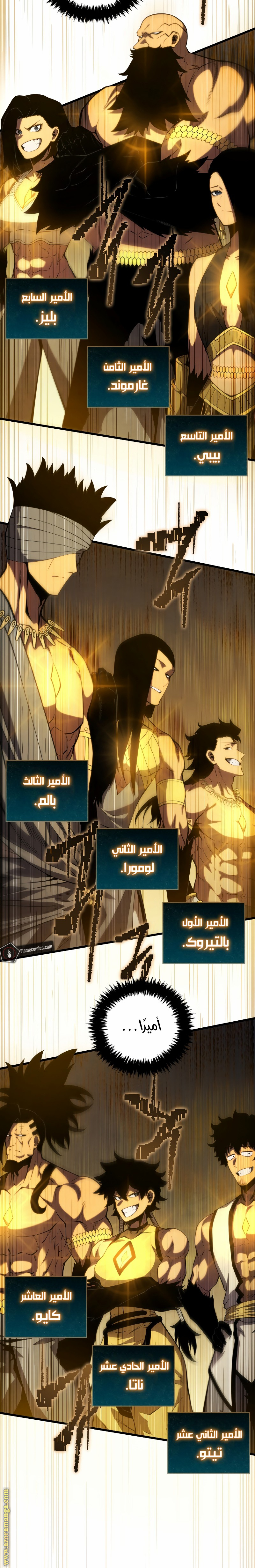 الصفحة 13