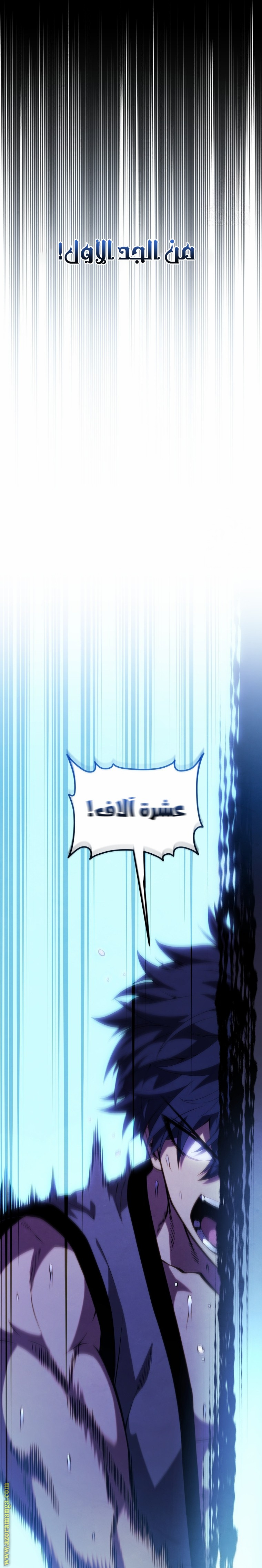الصفحة 13
