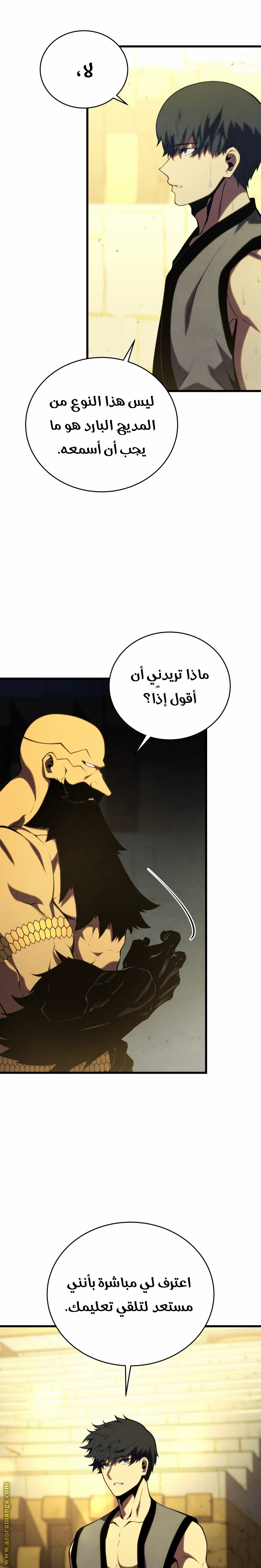 الصفحة 17