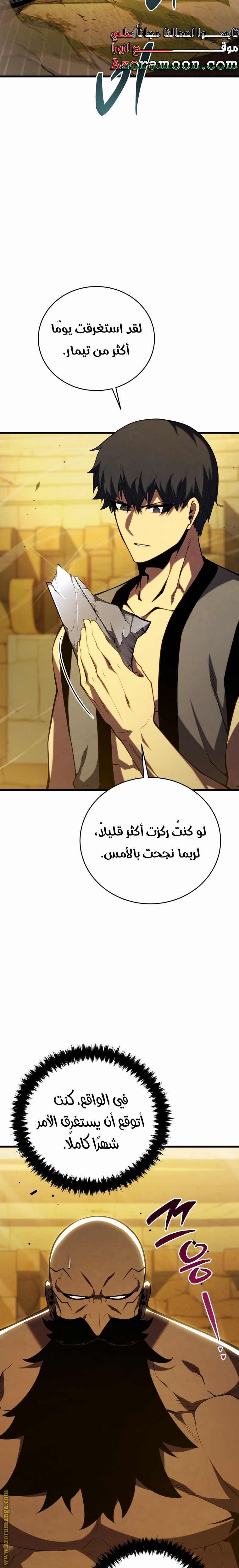 الصفحة 13