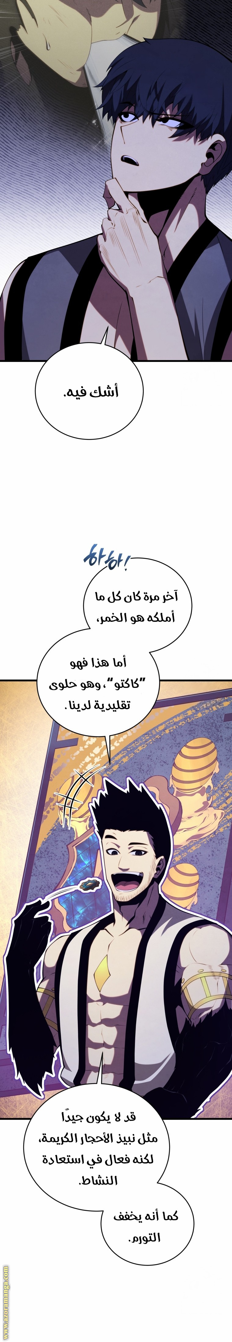 الصفحة 27
