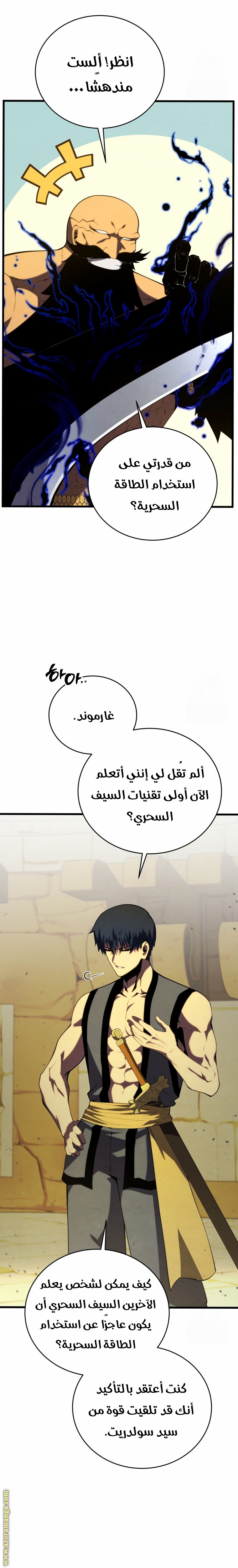 الصفحة 17