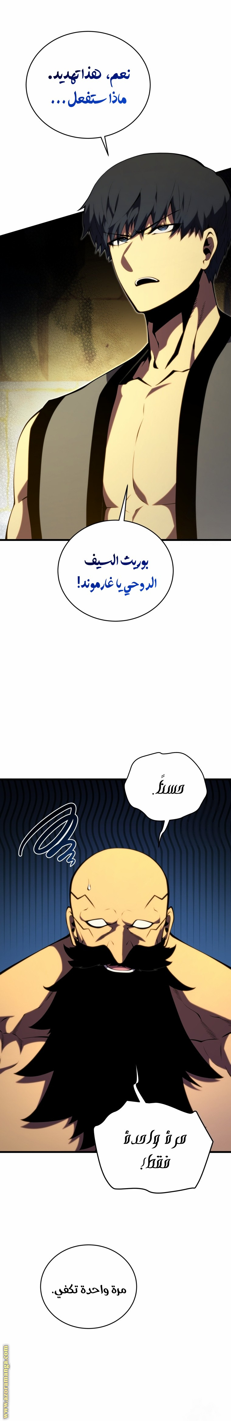 الصفحة 29