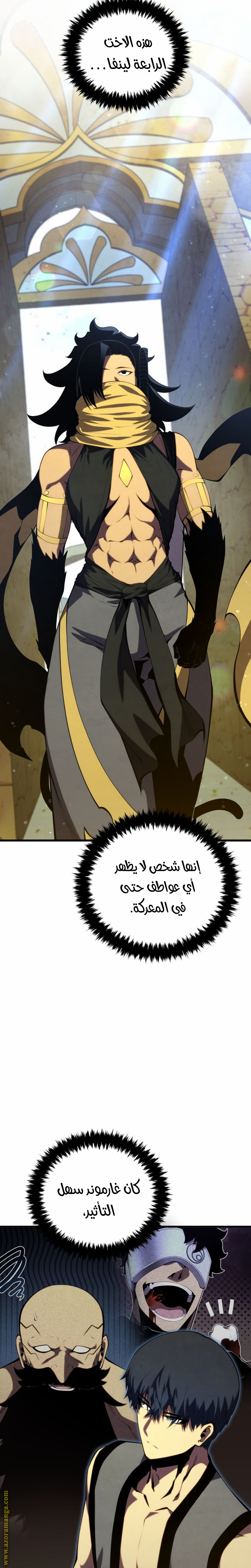 الصفحة 27
