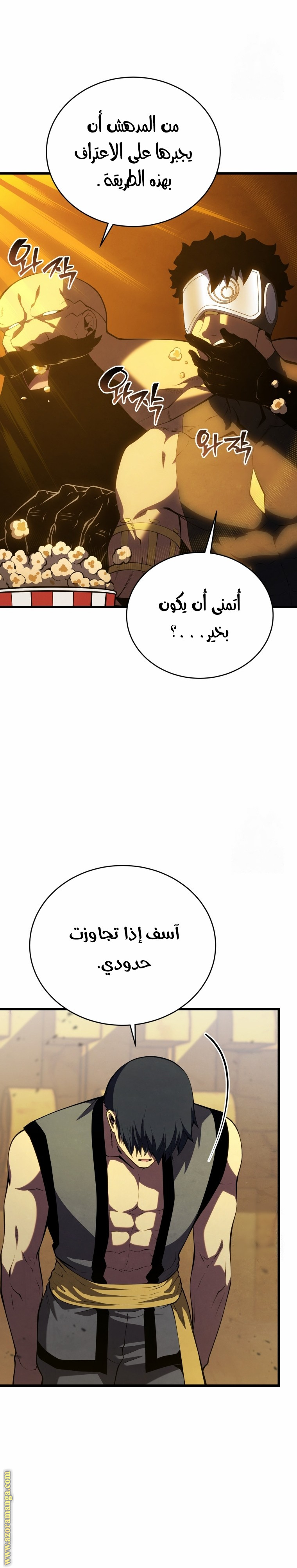 الصفحة 29