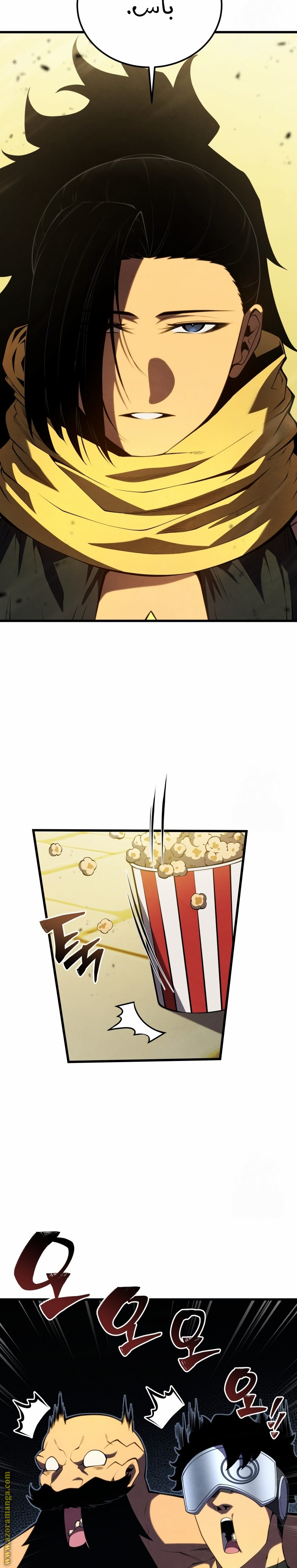 الصفحة 31