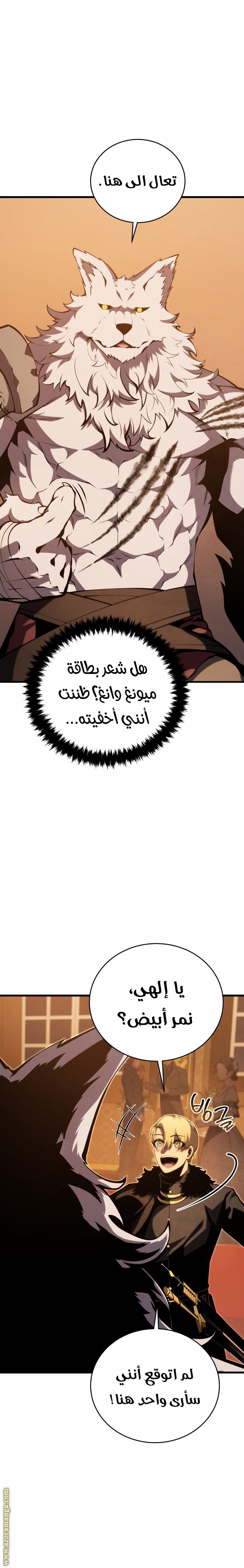 الصفحة 11