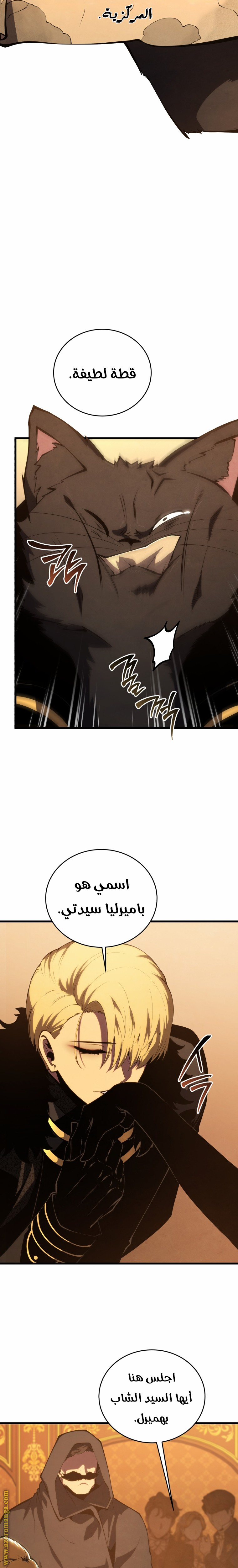 الصفحة 17
