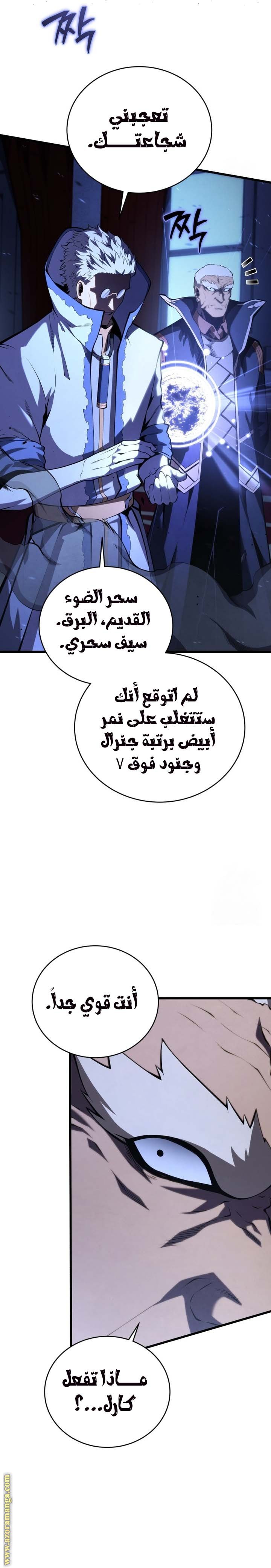 الصفحة 29