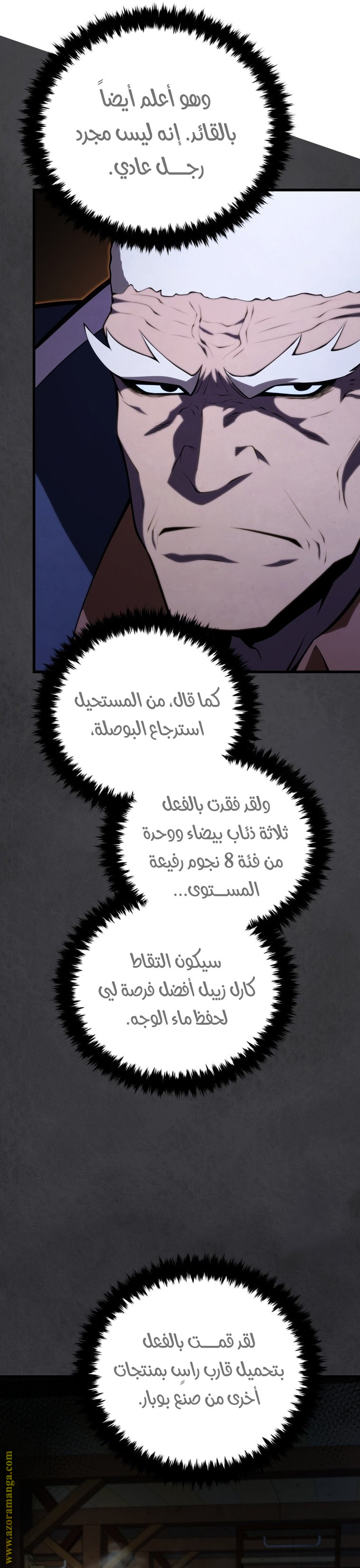 الصفحة 31