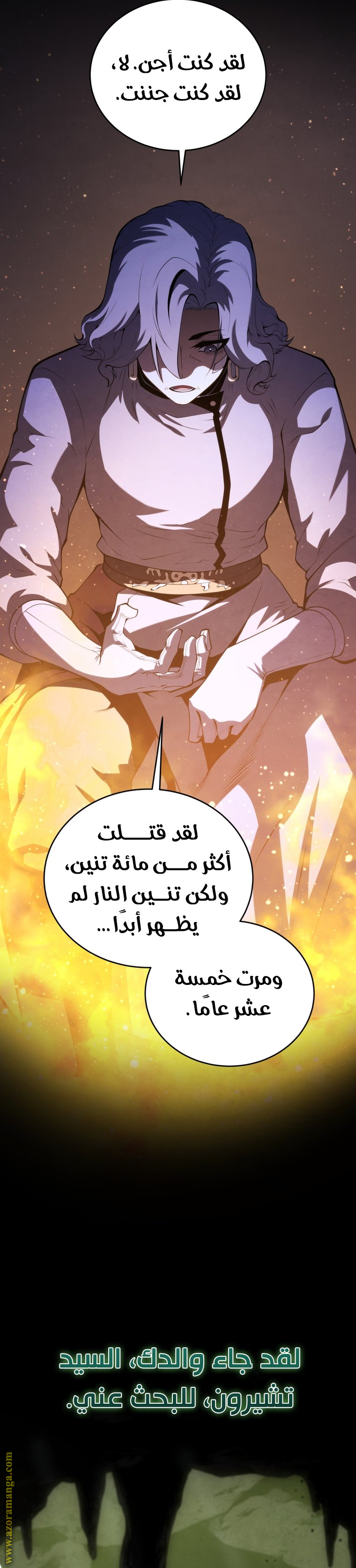 الصفحة 31