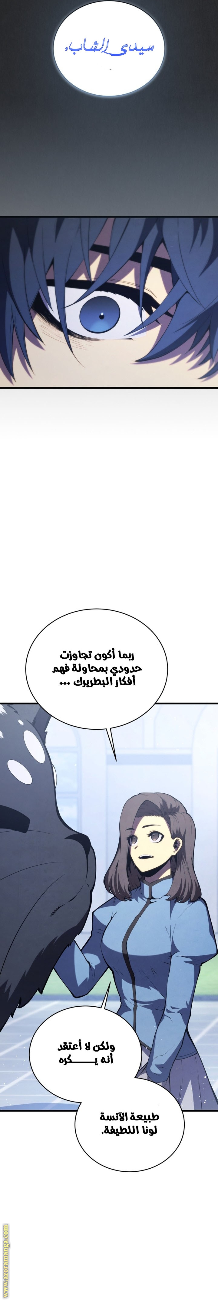 الصفحة 17