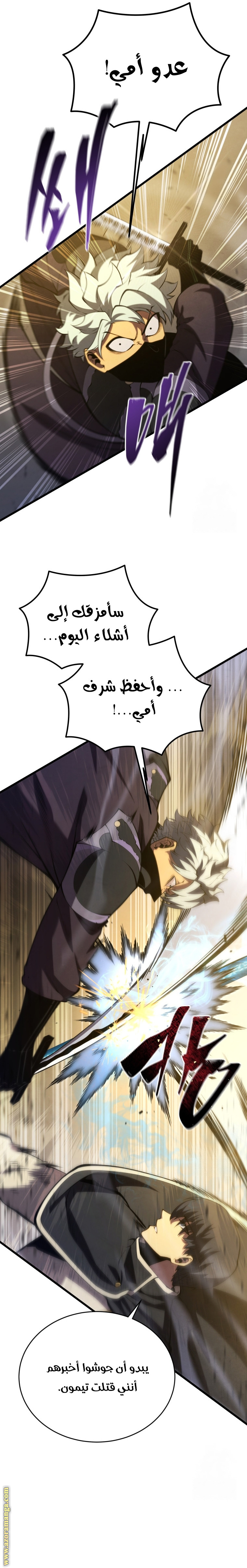 الصفحة 17