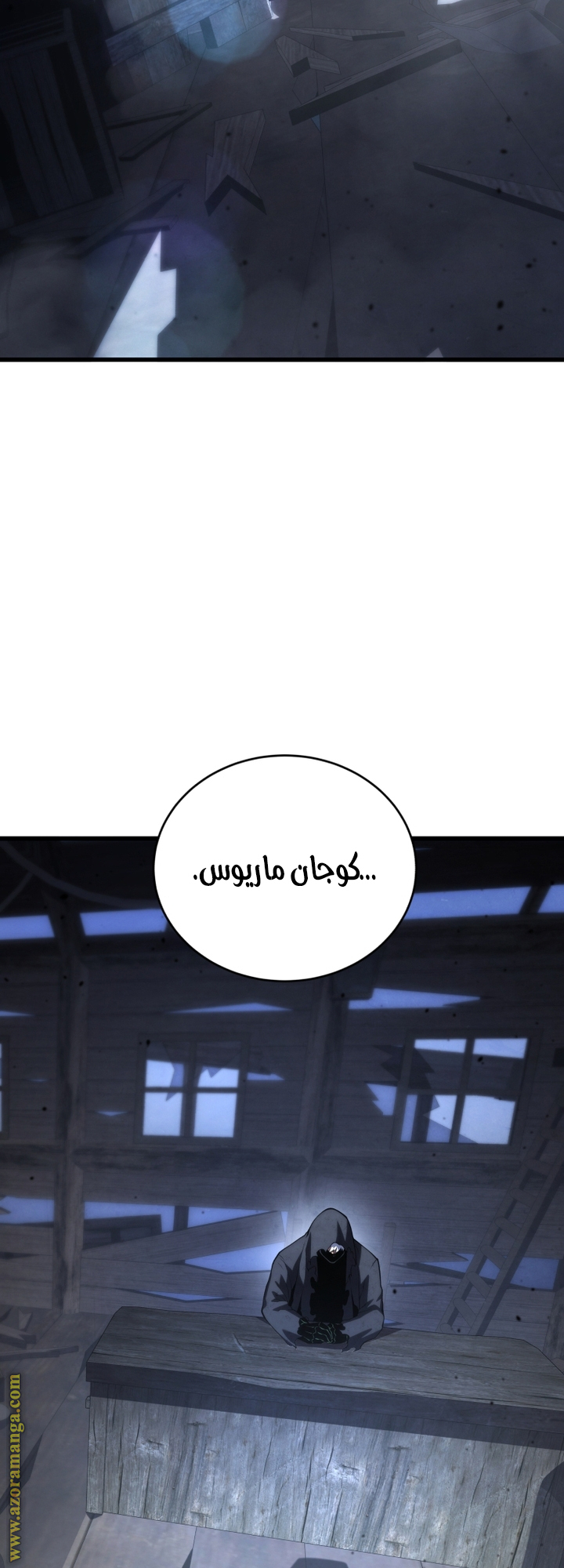 الصفحة 13