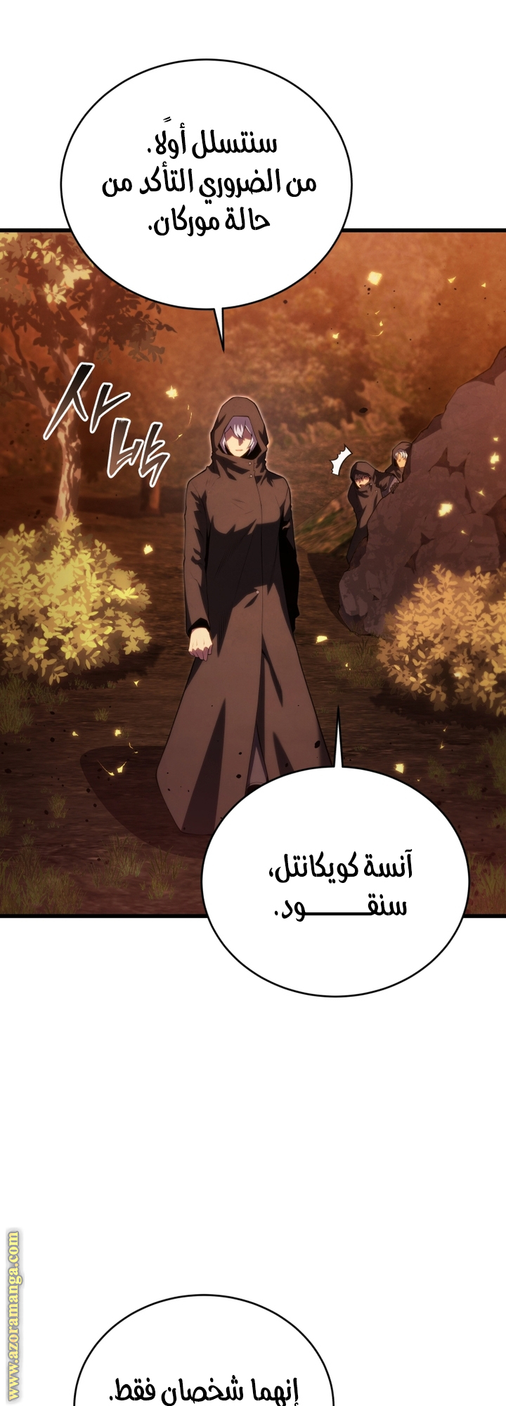 الصفحة 17