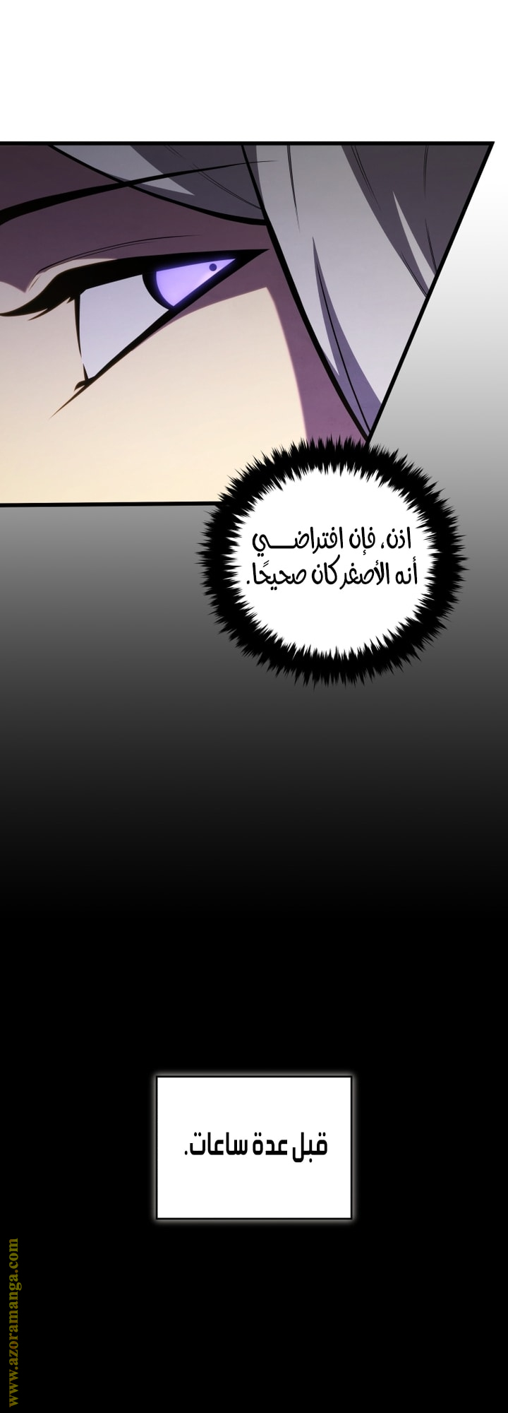 الصفحة 43