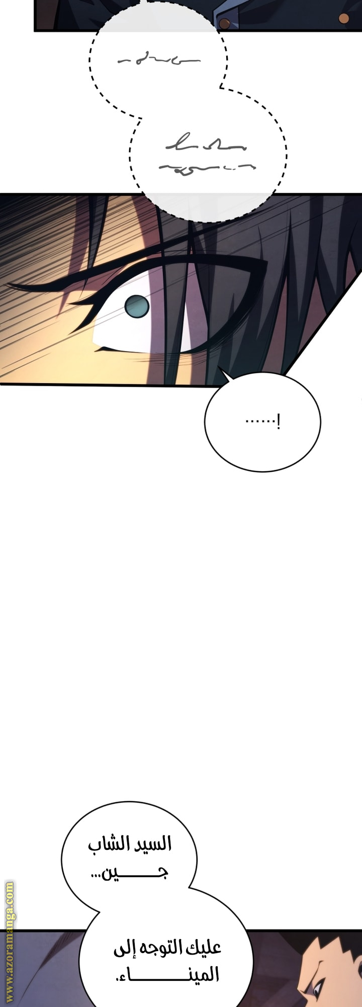 الصفحة 17